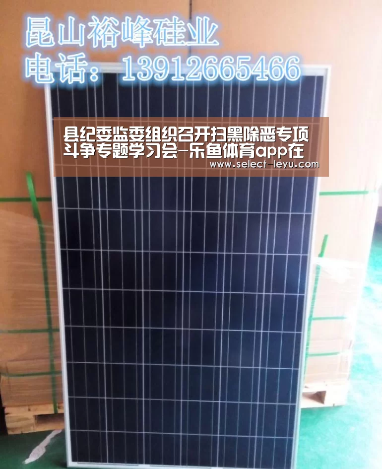 县纪委监委组织召开扫黑除恶专项斗争专题学习会-乐鱼体育app在线(图3) 乐鱼体育app官网