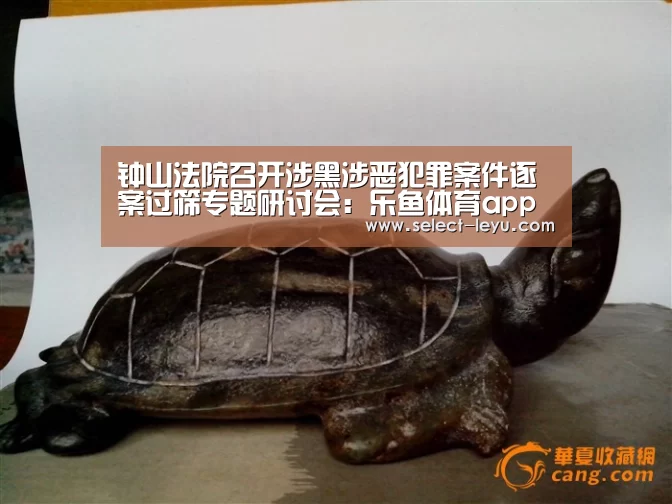 乐鱼体育app官网
