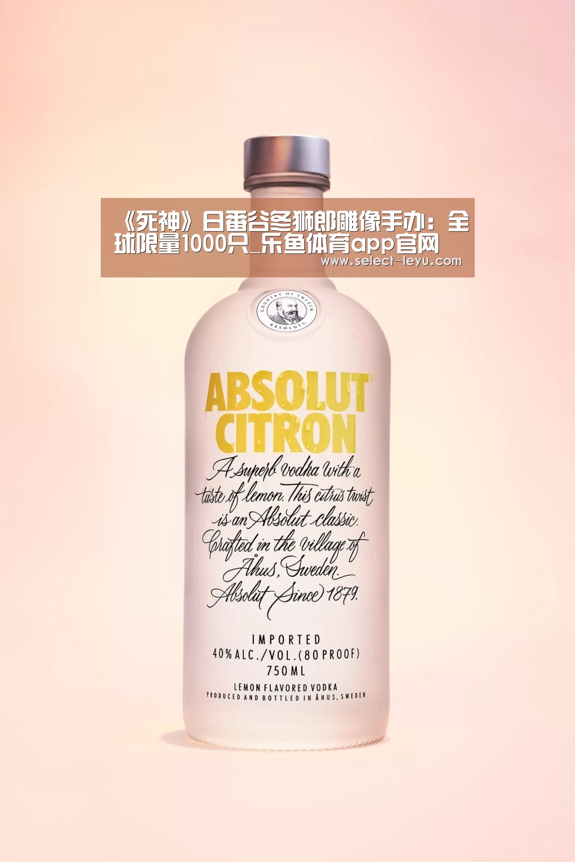 乐鱼体育app下载